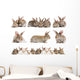 Set of Brown Baby Rabbits Wall Decal