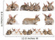 Set of Brown Baby Rabbits Wall Decal