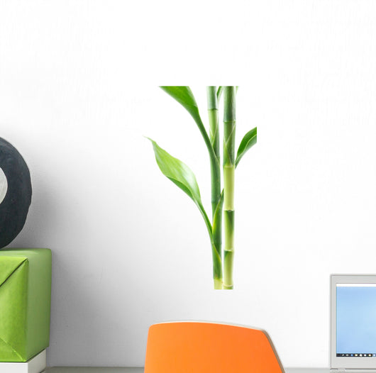 Plant border Wall Decal