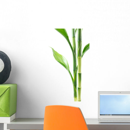 Plant border Wall Decal