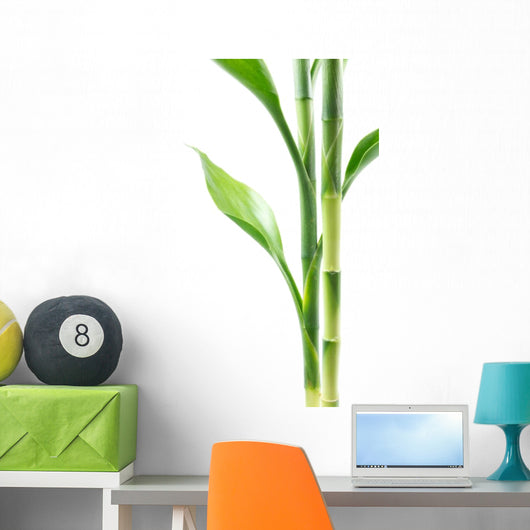 Plant border Wall Decal