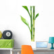 Plant border Wall Decal