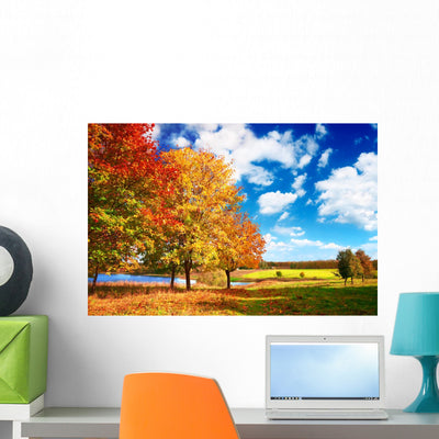 Autumn Landscape shown on a wall