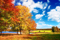 Autumn Landscape