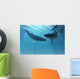 Whale Wonders
