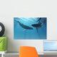 Whale Wonders