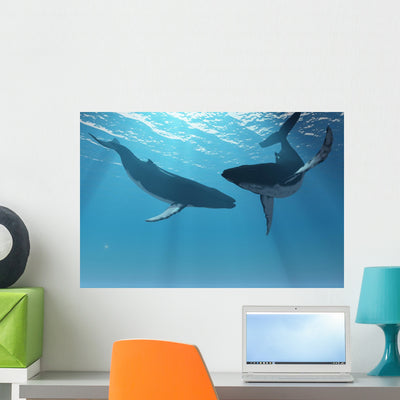 Whale Wonders shown on a wall