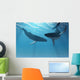 Whale Wonders