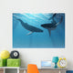 Whale Wonders
