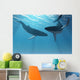 Whale Wonders