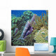 Reef Scene Wall Decal