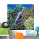 Reef Scene Wall Decal