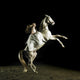 Beautiful Girl White Horse