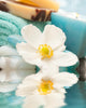 Spa Setting with Flower