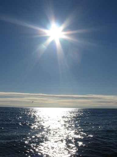 Arctic Sun Wall Decal