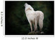 loup cri hurler Wall Mural