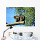 Macachi Wall Mural