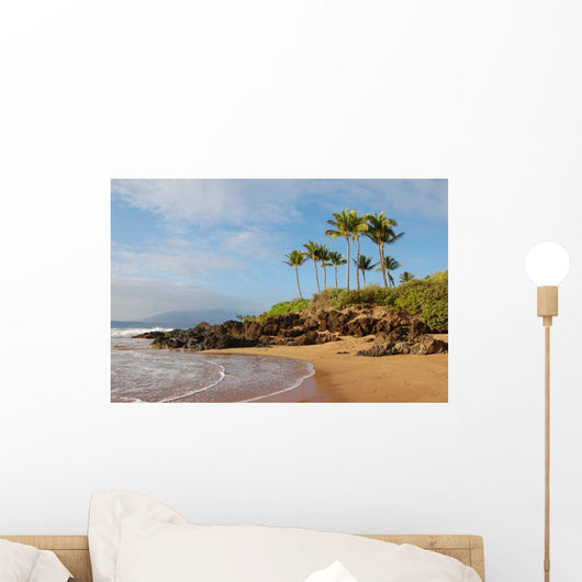 Hawaii Beach Wall Mural