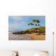 Hawaii Beach Wall Mural