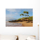 Hawaii Beach Wall Mural