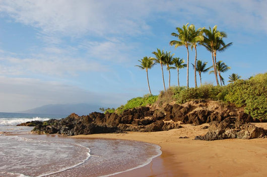 Hawaii Beach Wall Mural