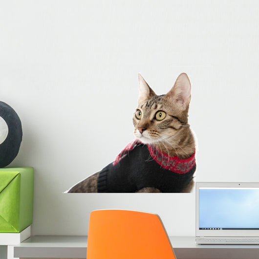 Cat in a Christmas Sweater Wall Decal