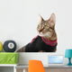 Cat in a Christmas Sweater Wall Decal