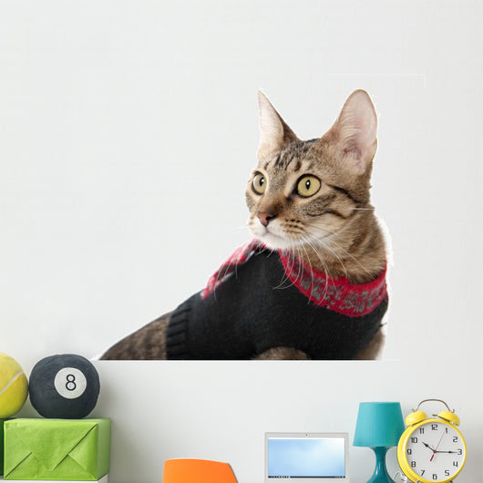 Cat in a Christmas Sweater Wall Decal