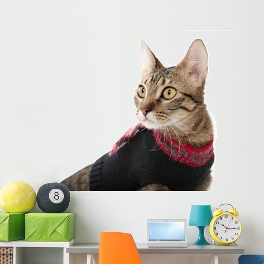 Cat in a Christmas Sweater Wall Decal