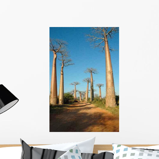 Avenue Baobabs Wall Decal