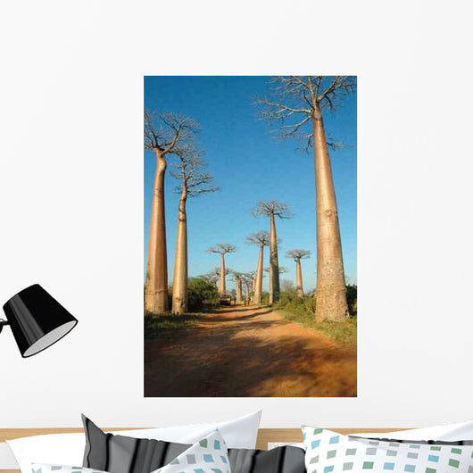 Avenue Baobabs Wall Decal