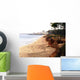 Praia Do Cavalo Preto Wall Decal