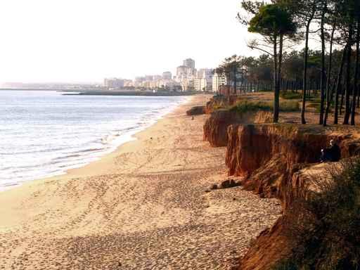 Praia Do Cavalo Preto Wall Decal