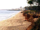 Praia Do Cavalo Preto Wall Decal