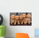 Toy poodle 2 Wall Mural