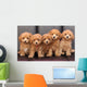 Toy poodle 2 Wall Mural