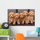 Toy poodle 2 Wall Mural