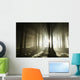 Sunbeams enters coniferous stand on a misty autumn morning Wall Mural