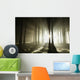Sunbeams enters coniferous stand on a misty autumn morning Wall Mural