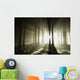 Sunbeams enters coniferous stand on a misty autumn morning Wall Mural