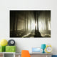 Sunbeams enters coniferous stand on a misty autumn morning Wall Mural