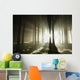 Sunbeams enters coniferous stand on a misty autumn morning Wall Mural
