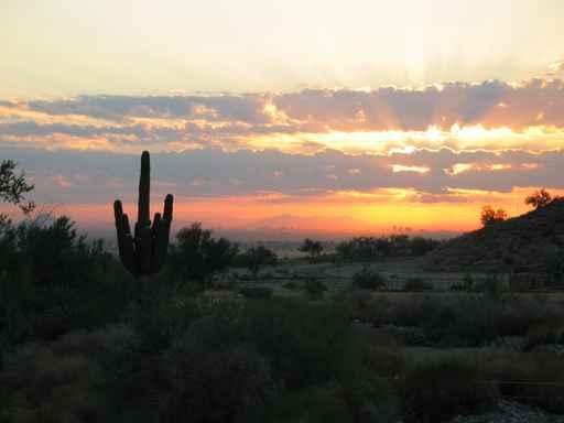 Sunrise over Phoenix Arizona Wall Decal
