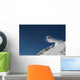 Snowboarding Wall Decal
