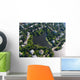Luftaufnahme Alster Wall Decal