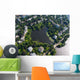 Luftaufnahme Alster Wall Decal