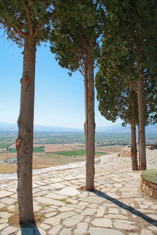 Landscape
