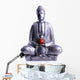 Meditating Buddha with Red