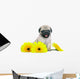 Chrysanthemum Pug Puppy Wall Decal