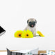 Chrysanthemum Pug Puppy Wall Decal